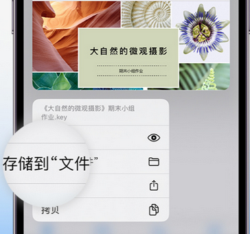 门源apple维修中心分享iPhone文件应用中存储和找到下载文件