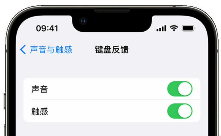 门源苹果手机维修分享iPhone 14触感键盘使用方法 