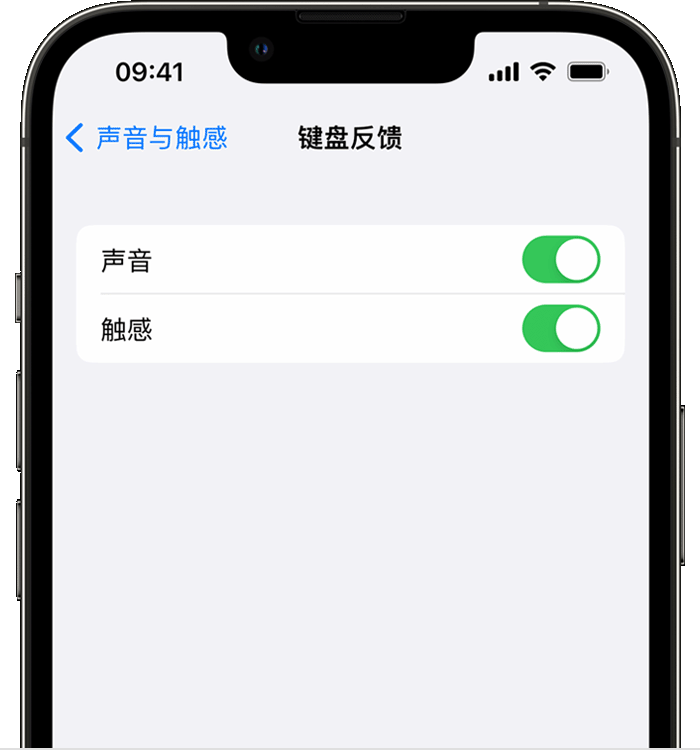 门源苹果14维修店分享如何在 iPhone 14 机型中使用触感键盘 