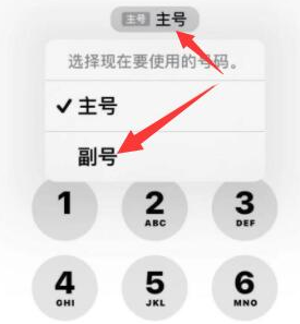 门源苹果14维修店分享iPhone 14 Pro Max使用副卡打电话的方法 