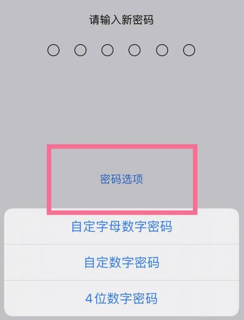 门源苹果14维修分享iPhone 14plus设置密码的方法 