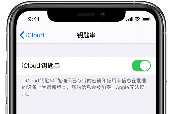 门源苹果手机维修分享在 iPhone 上开启 iCloud 钥匙串之后会储存哪些信息 